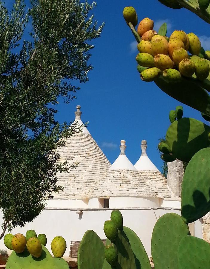 Trulli Il Geco Sognante Villa Ceglie Messapica Exteriör bild